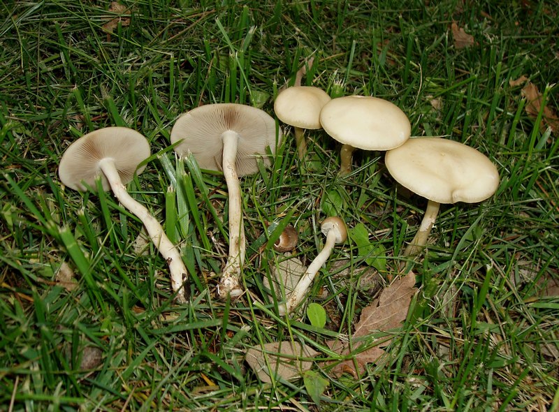 3 fotografato il 16.04.2010.